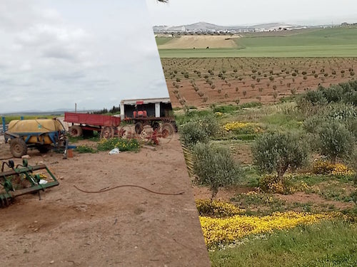 منوبة : استرجاع 510 هك  من أراضي الدولة